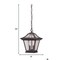 Homeroots 12 x 9 x 9 in. Aiken 2-Light Architectural Bronze Hanging Light 397978 - alternate 5